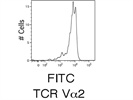 FITC Anti-TCR Va2 Antibody
