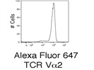 Alex 647 Anti-TCR Va2 Antibody