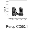 Percp Anti-CD90-1 Antibody