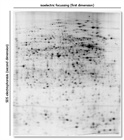 Charge Separation of Proteins