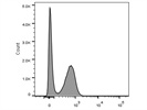 Good Antibody for I-A/I-E Staining