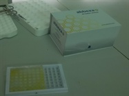 Abbexa's Human Inhibin A ELISA Kit