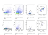 Easy to Use Microglia Purification