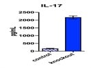 Great, Reliable Mouse IL-17 DuoSet ELISA