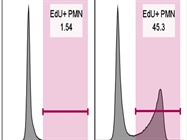 Great EdU Detection
