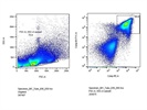 B220 Expression on Spleen Cells in BALB/c
