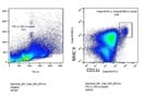 CD11c Staining on DCs