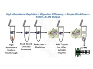 AlbuVoid LC-MS On-Bead For Serum Proteomics