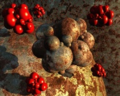Apoptosis Assays: Caspases and Beyond
