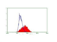 A validated CD19 antibody for flow cytometry