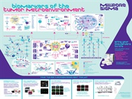 Bring Your Biomarkers to Life with Steadfast Assay Consistency