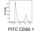 FITC Thy1.1 Antibody Review (202503)