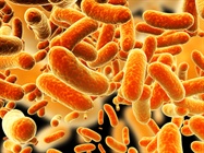 To Infinity and Beyond: A Universe of Choices for Chemical Toxicity Testing