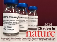 ImmunoStar Gastrin Releasing Peptide (GRP) / Bombesin Antibody