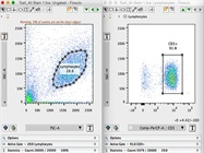 Human T-Cell Isolation