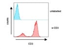 FITC-Conjugated Monoclonal Mouse Anti-Human CD3 Antibody (for Flow Cytometry) from BioLegend (Clone OKT3)