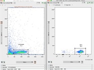 Isolating CD4+ Lymphocytes from Peripheral Blood Cells
