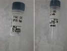 A Reliable Antibody for P-Akt 473 Expression Detection