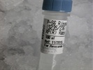 A Reliable Antibody for P-S6(235/236) Expression Detection