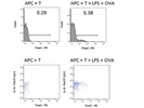 Antibody is Difficult to Compensate When Using 9 Colors
