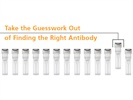 EasySep&trade; Verified Antibodies for Immunology Research