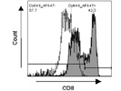 Good Staining in Flow Cytometry with Mouse Monoclonal (C8/468 + C8/144B) to Human CD8 alpha