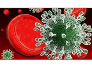 InVivoPlus Antibodies