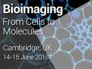 Bioimaging: From Cells to Molecules