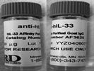 Excellent Antibody to Detect IL-33 in Human Cells