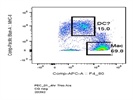 Good Antibody as Far as F4/80 Staining Goes