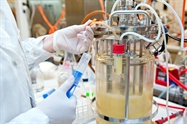  Considerations for Protein Pilot Study Scale-up