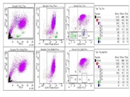 Enriching Neutrophils from Granulocyte Fraction