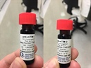 Most Reliable TIM-3 Antibody