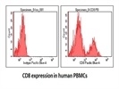 Good Anti-Human CD8 Antibody