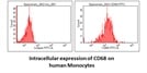 Good Anti-Human CD68 Antibody