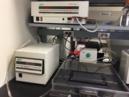 Genotyping Using CHEF DR III Pulse Field Gel Electrophorosis