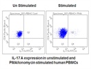 Good Human IL-17 A Antibody