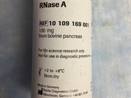 Decontamination of DNA from RNA Using RNase A