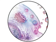 Exosome Isolation Services