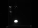 Quantum Prep® Plasmid Midiprep Kit