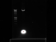 Quantum Prep® Plasmid Midiprep Kit