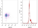 CCR6-Labeling on Human Primary PBMCs