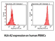 Good Anti-human HLA-A2 Antibody
