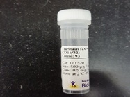 Great Block for Flow Cytometry