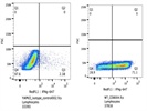 Isotype Control Antibody To Confirm Specific Antibody Binding
