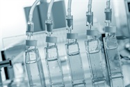 Tipping the Scales of Therapeutic Antibody Production