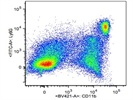 The Antibody Is Great For Identifying CD11b+ Cells