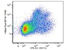 The Antibody Stains F4/80+ Cells Very Well