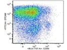 The Antibody Stains EPCAM+ Cells Very Well
