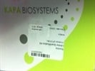 Quantification of DNA Sequencing Libraries for Next Generation Sequencing in Illumina Sequencing Platform